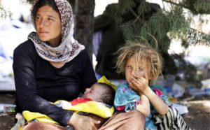 UN recognises Yazidi genocide