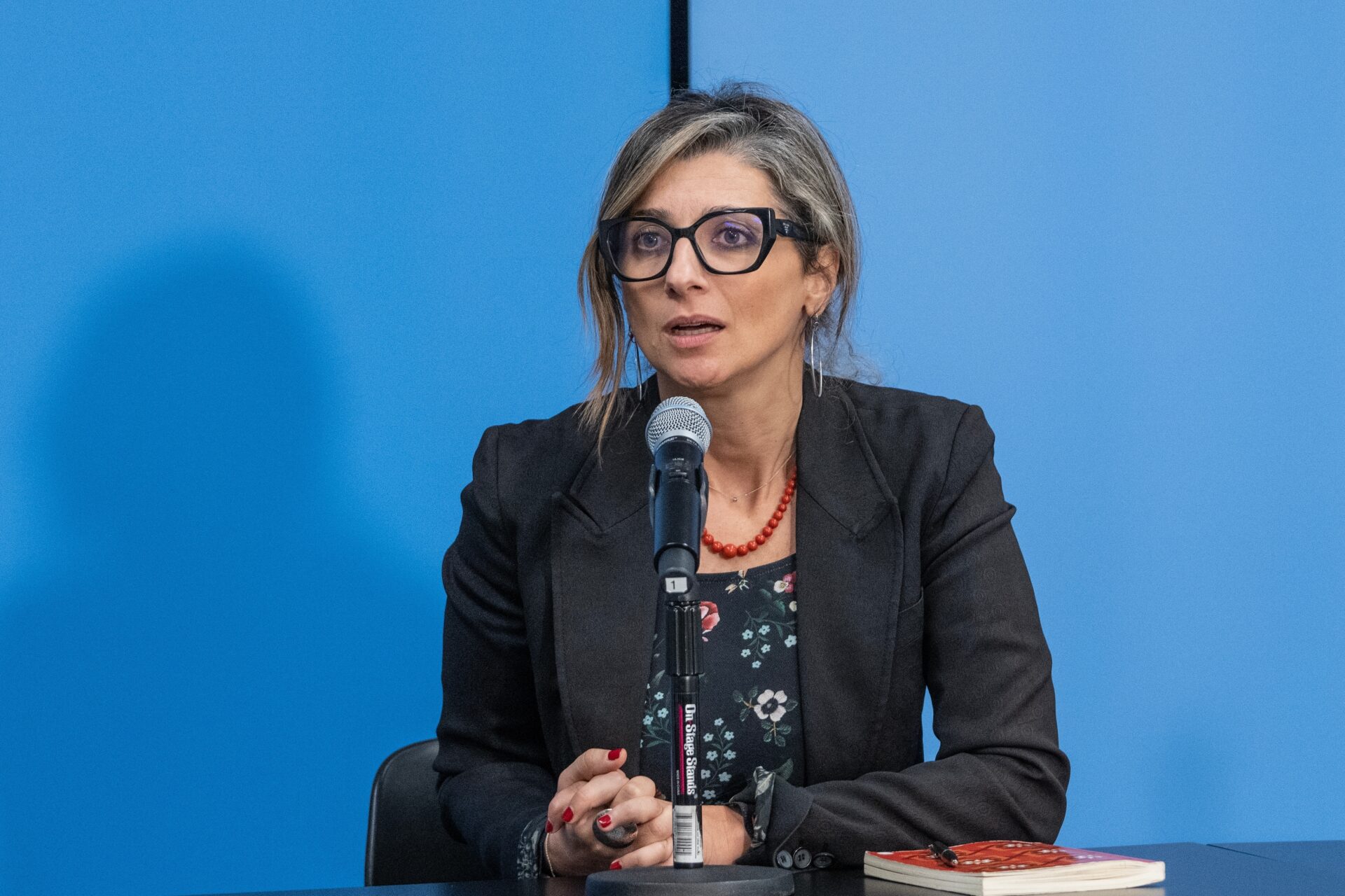 BHRC Statement on United States Sanctions on UN Special Rapporteur Francesca Albanese