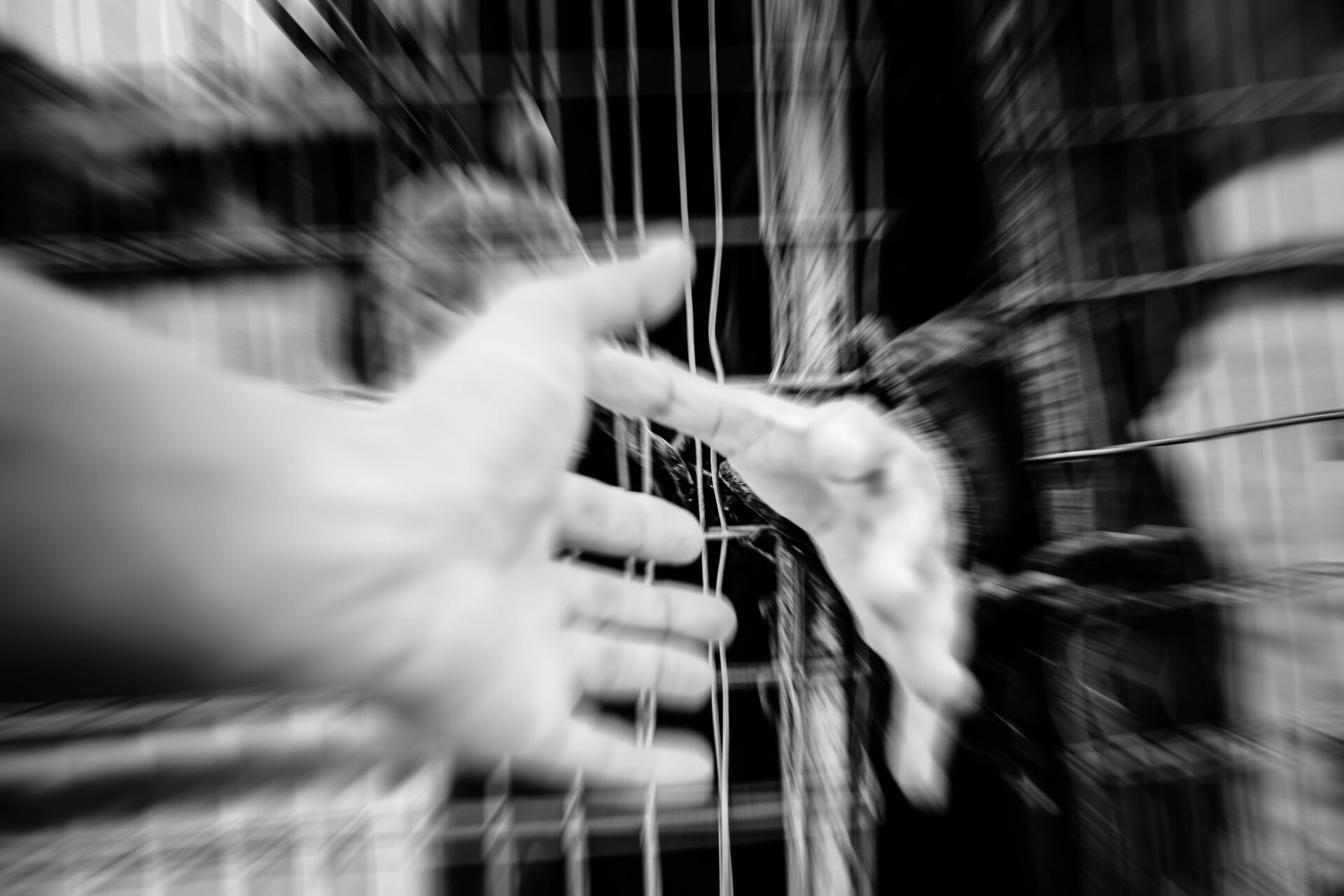 Organ Trafficking in Peace and Conflict